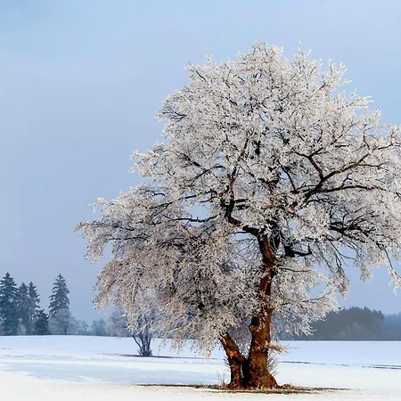 펜션 St, Andreasberg, Haus 46 *