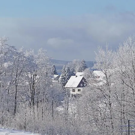 Ferienhaus St, Andreasberg, Haus 46