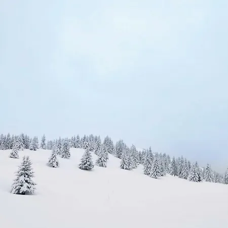 펜션 St, Andreasberg, Haus 46 상트안드레스베르크