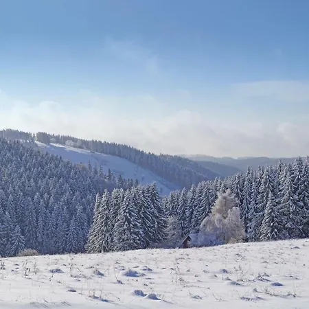 펜션 St, Andreasberg, Haus 46 *