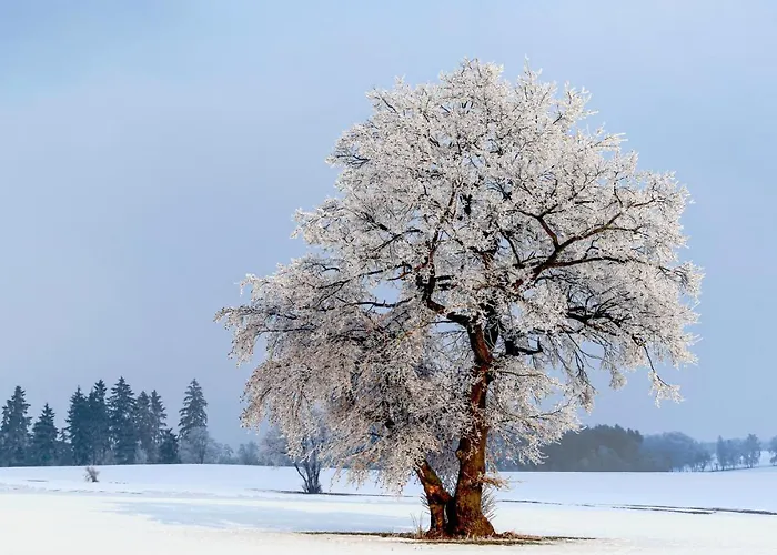 Дом отдыха St, Andreasberg, Haus 46 *