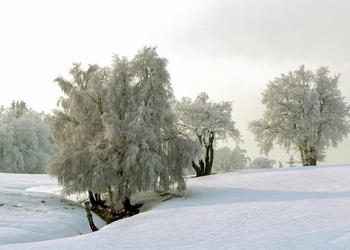 St, Andreasberg, Haus 46 *