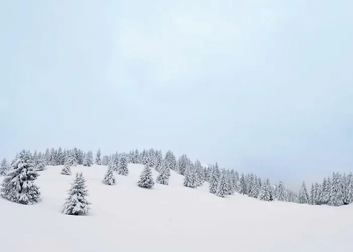 Дом отдыха St, Andreasberg, Haus 46 Санкт-Андреасберг