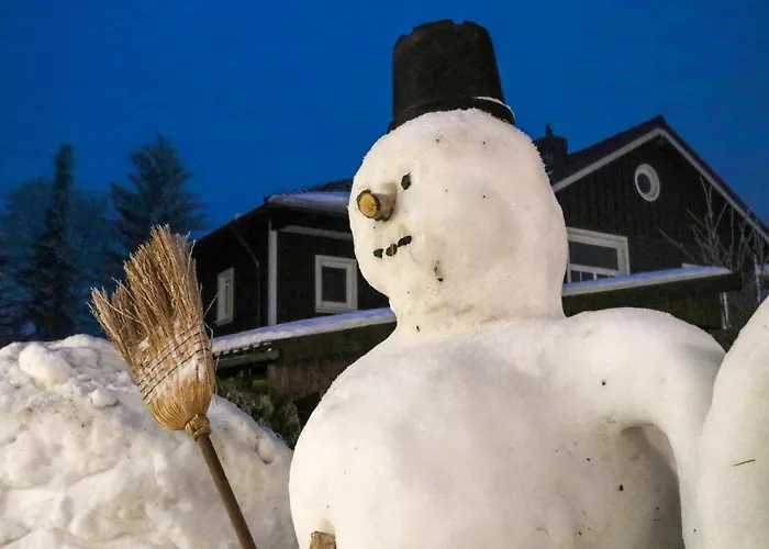 Дом отдыха St, Andreasberg, Haus 46